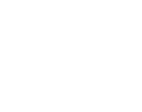 Logo massD blanco