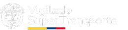 Logo super transporte